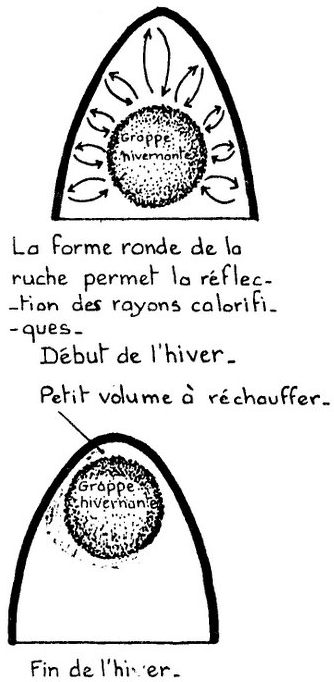 Cuve.
