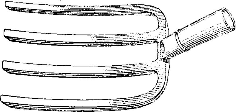 Chancre