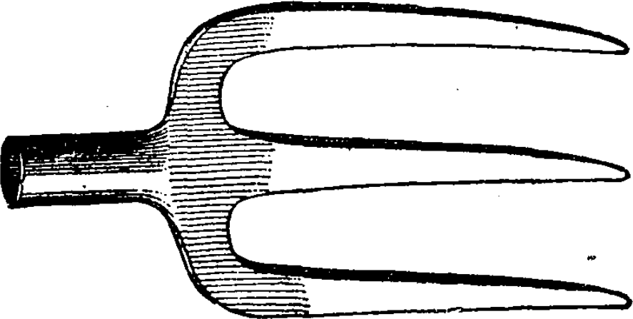 Chancre