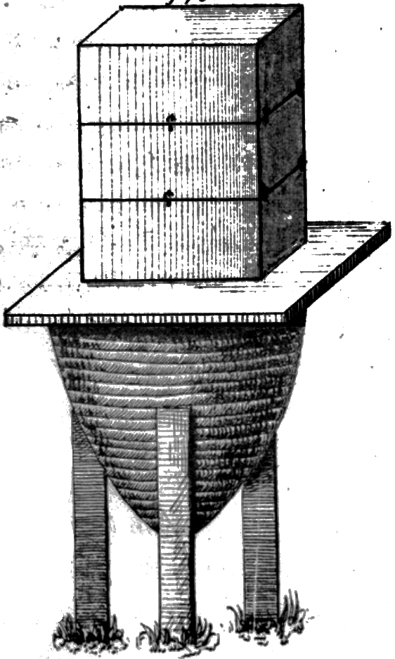 fig1.
