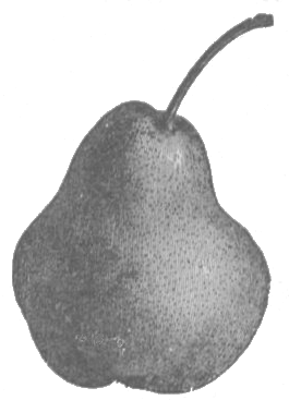Chancre