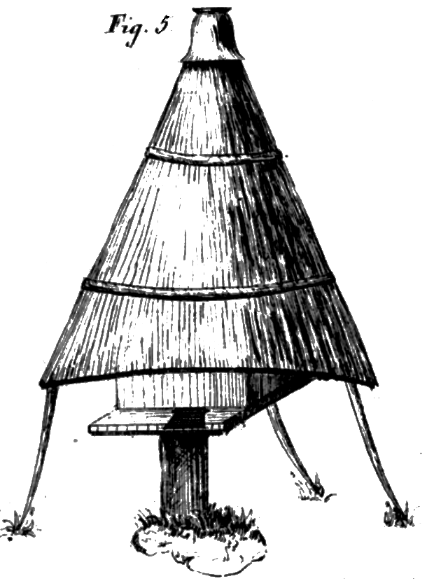 fig1.